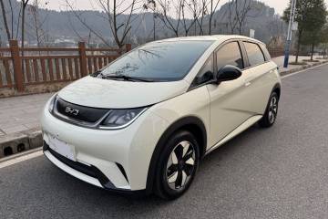 Used BYD Dolphin 2024 Honor Edition 420km Freedom Version