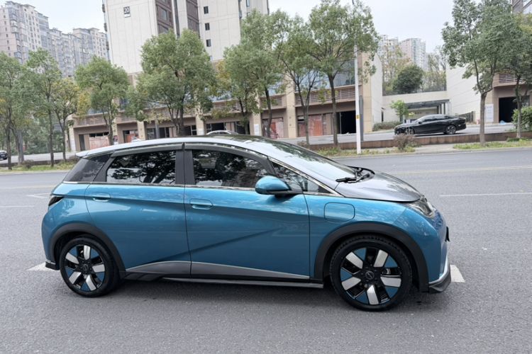 Used BYD Dolphin 2021 401km Knight Edition
