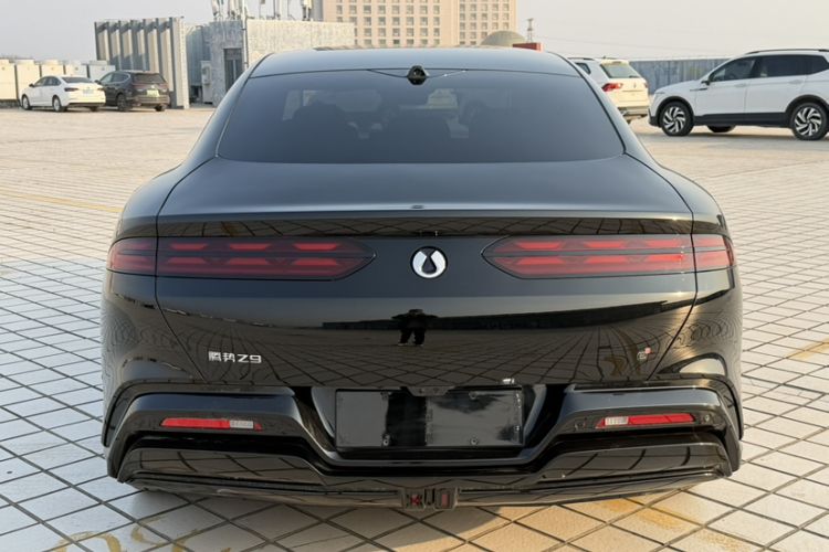 Used Denza Z9 2024 1100 km Four-Wheel Drive Pro Version