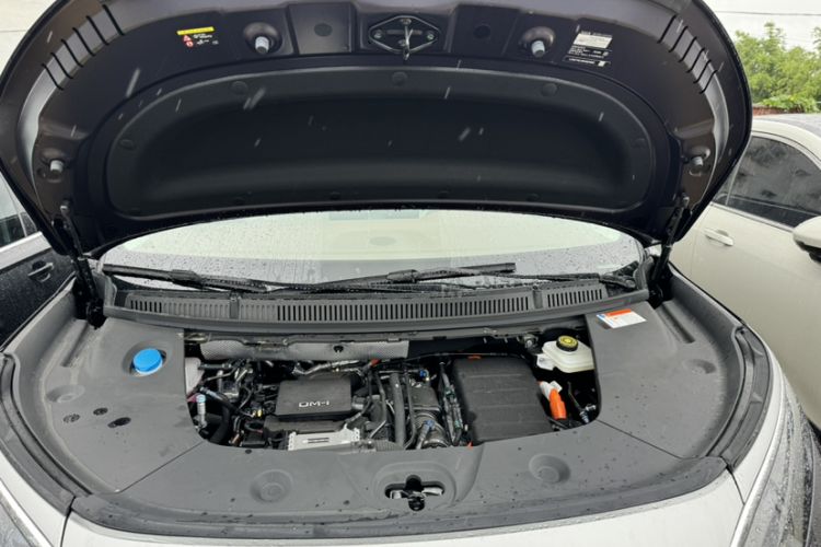 Used BYD Xia 2025 DM-i 1.5T 180km Beyond Edition
