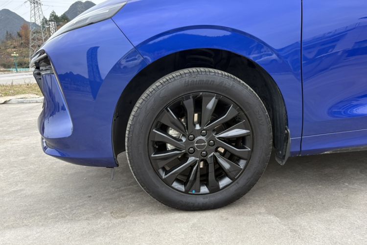 Used FORTHING T5 EVO 2021 1.5TD DCT Starry Edition
