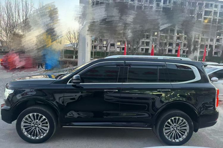 Used Tank 500 2022 3.0T Business Edition "Creation Realm" Design 5-Seater
