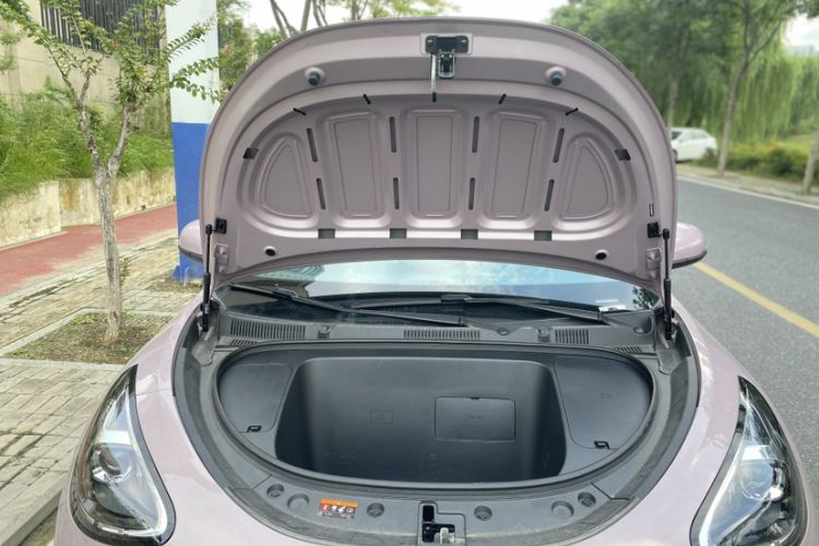 Used  Geome 2025 310km Youth Edition
