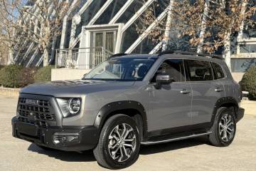 Used Haval DARGO 2022 1.5T DCT Two-Wheel Drive Mastiff Pursuit Edition