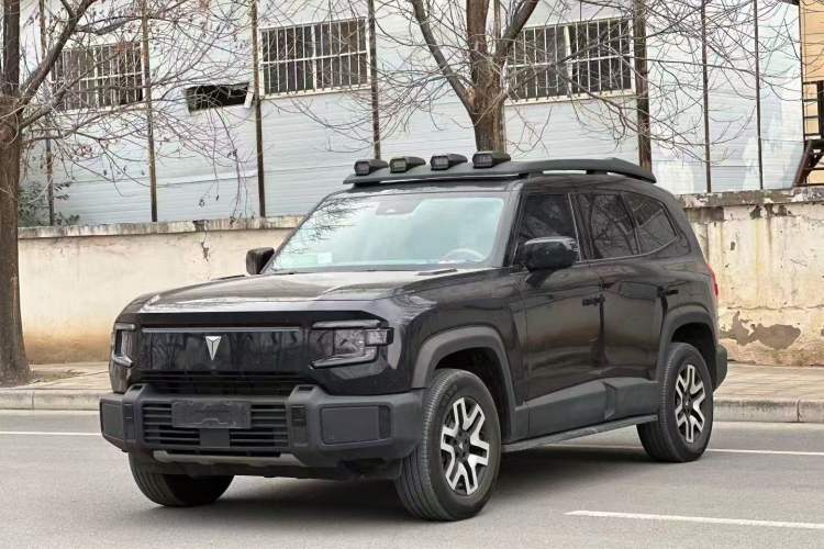 Used  G318 2024 Two-Wheel Drive Air Suspension Version