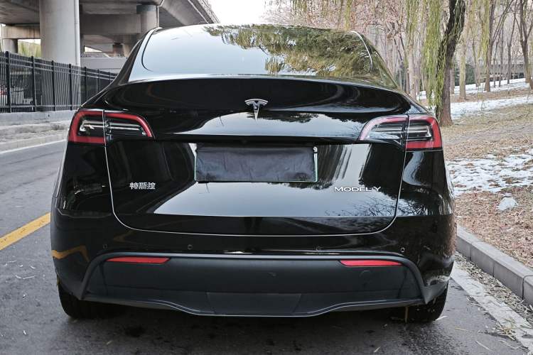 Used Tesla Model Y 2021 Standard Range Rear-Wheel Drive Version
