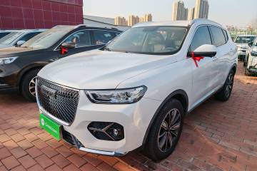 Used Haval H6 2021 2.0 GDIT Automatic Champion Edition