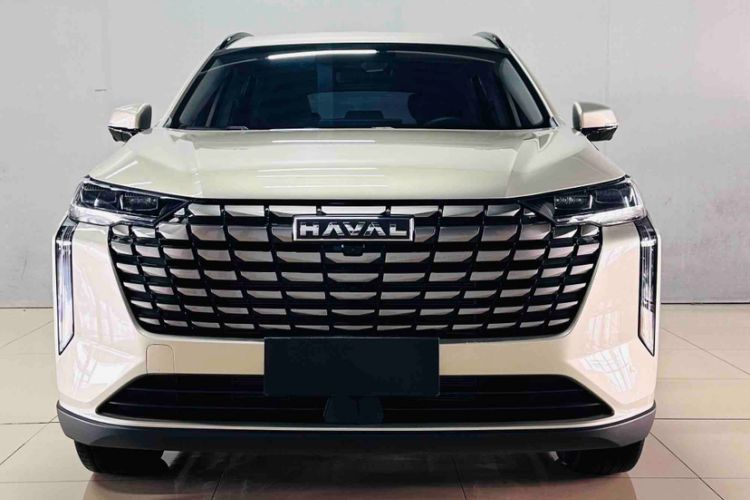 Used Haval H6 2024 1.5T Two-Wheel Drive Pro