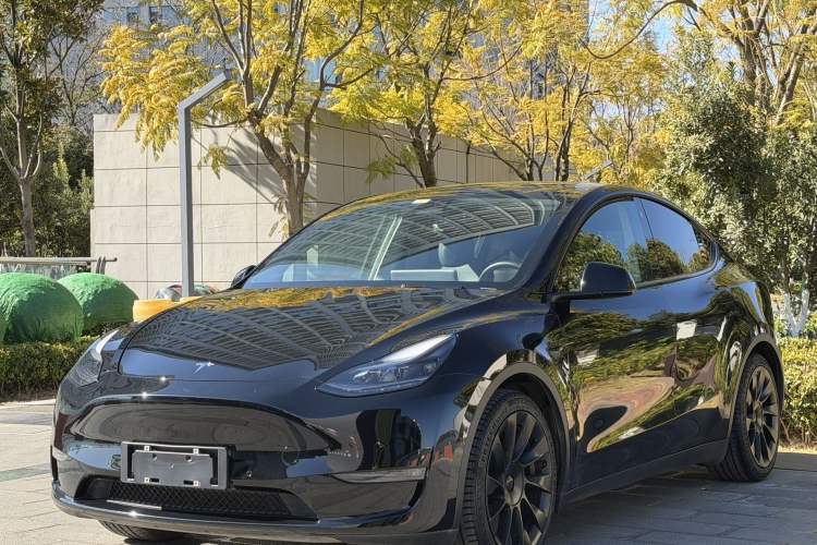 Used Tesla Model Y 2021 Standard Range Rear-Wheel Drive Version