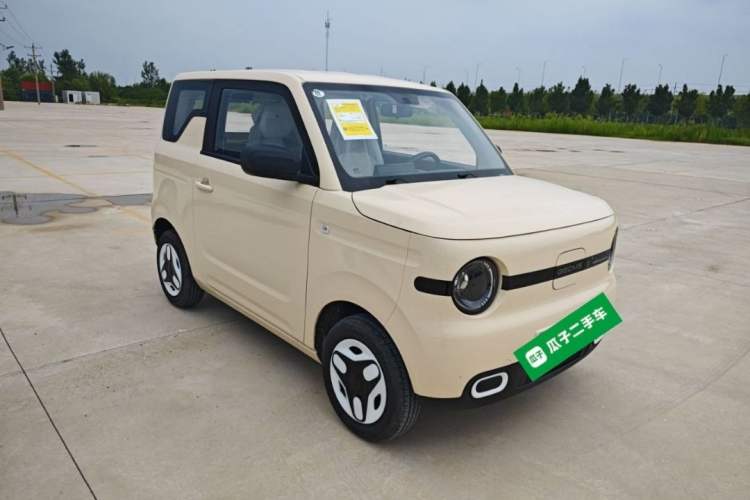 Used  Panda 2025 210 km – Yuanqi Bear
