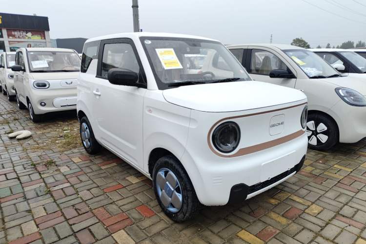 Used  Panda 2024 Panda Mini 200km Endurance Bear