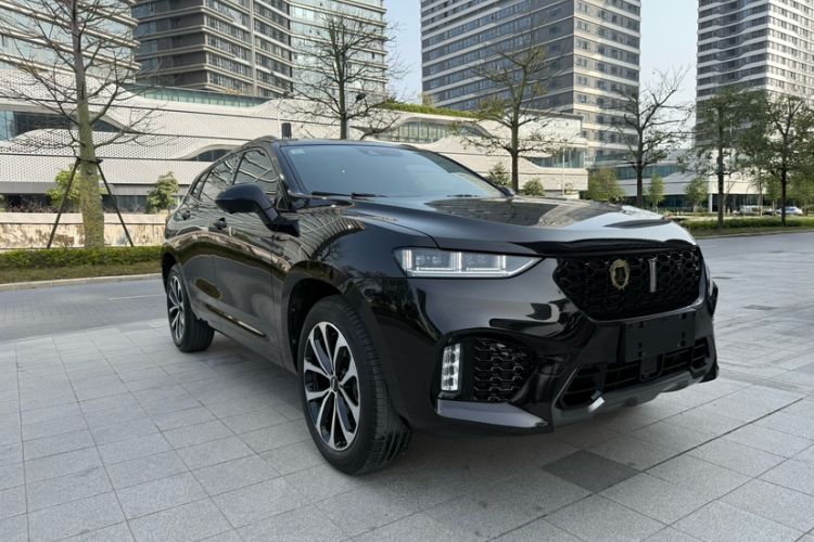 Used Wey VV7 2019 Upgraded Model 2.0T Ultra-Luxury Version China VI Standard