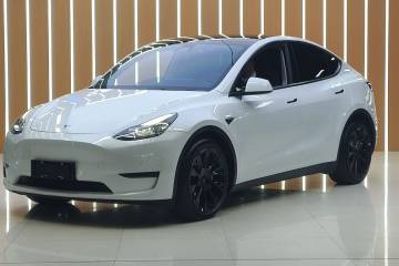 Used Tesla Model Y 2021 Long-Range All-Wheel-Drive Version