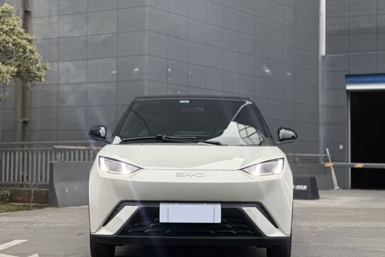 Used BYD Seagull 2024 Honor Edition 305km Freedom Version
