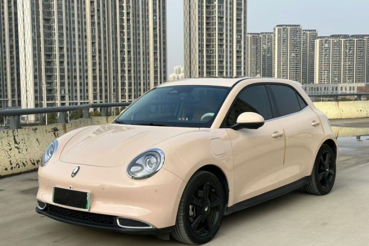 Used ORA Good Cat 2024 401 km Range Luxury Version 135 kW