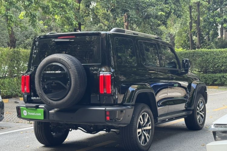 Used Tank 300 2024 2.0T Crosser
