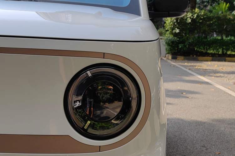 Used  Panda 2024 Panda Mini 200km Endurance Bear
