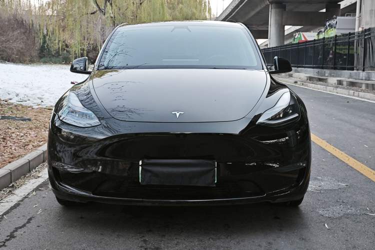 Used Tesla Model Y 2021 Standard Range Rear-Wheel Drive Version
