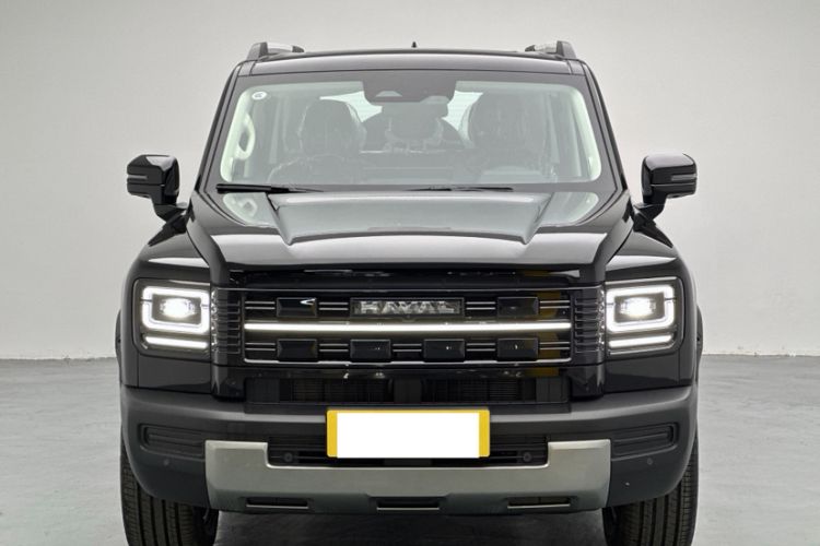 Used Haval Raptor New Energy 
