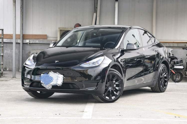 Used Tesla Model Y 2021 Standard Range Rear-Wheel Drive Version
