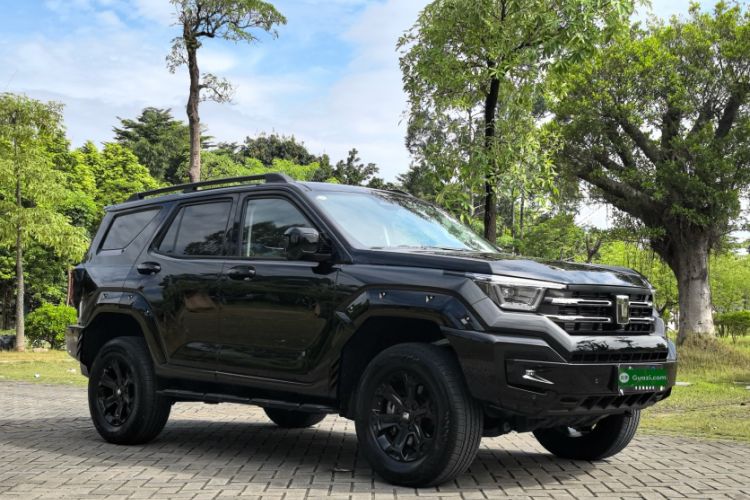 Used Tank 400 2025 2.0T Gasoline Version
