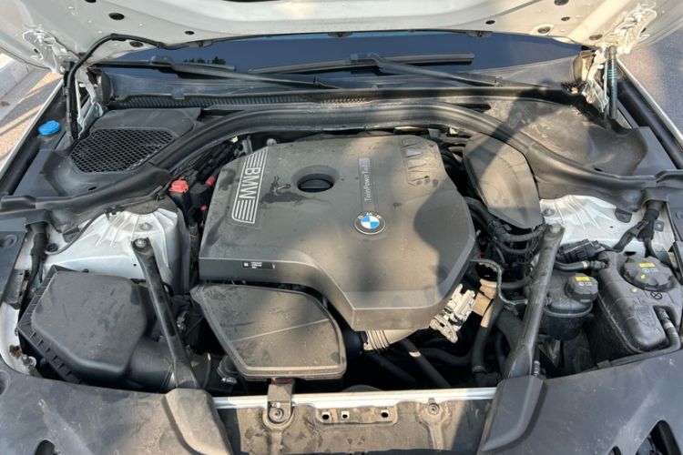 Used BMW 5 Series 2018 528Li Launch Special Edition
