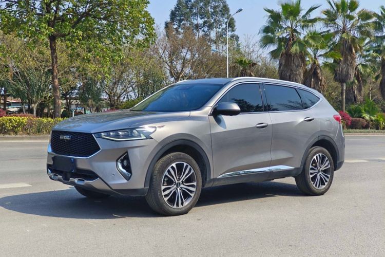 Used Haval F7 2019 2.0T Two-Wheel-Drive i-Van China VI Standard
