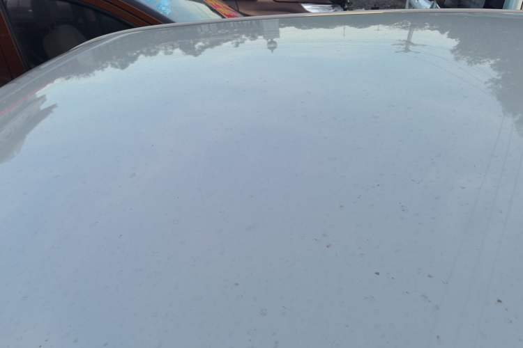 Used  Panda 2024 Panda Mini 200km Endurance Bear
