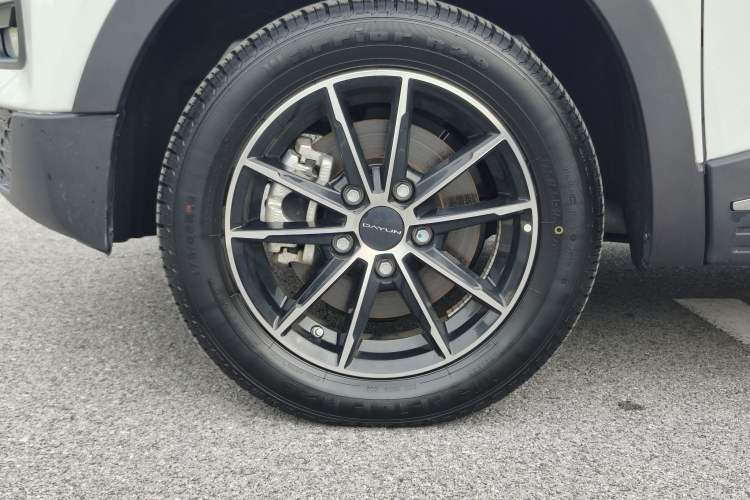 Used Dayun Yuehu 2023 230 Standard Edition
