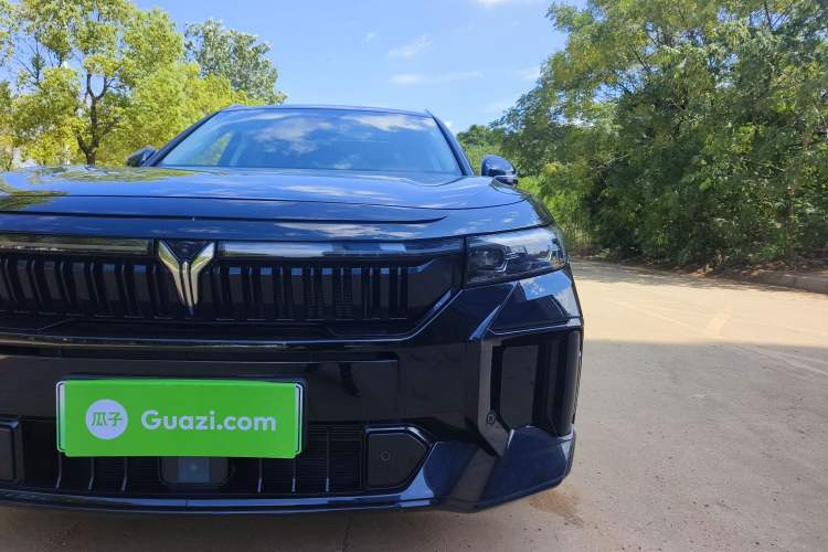 Used VOYAH FREE 2024 Ultra-Long Range Intelligent Driving Version
