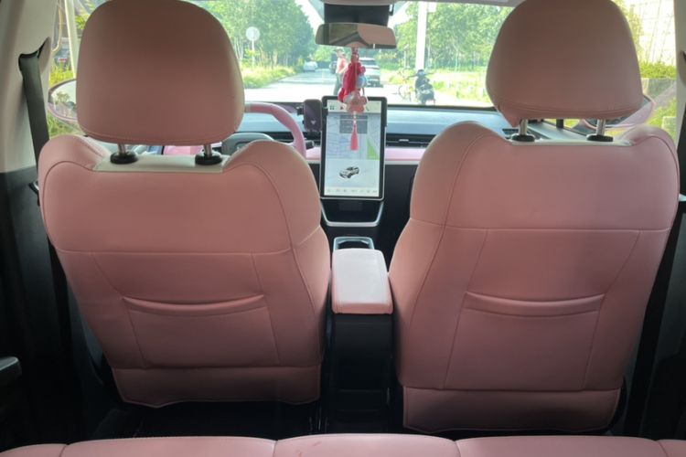 Used NETA V 2021 Witch Edition
