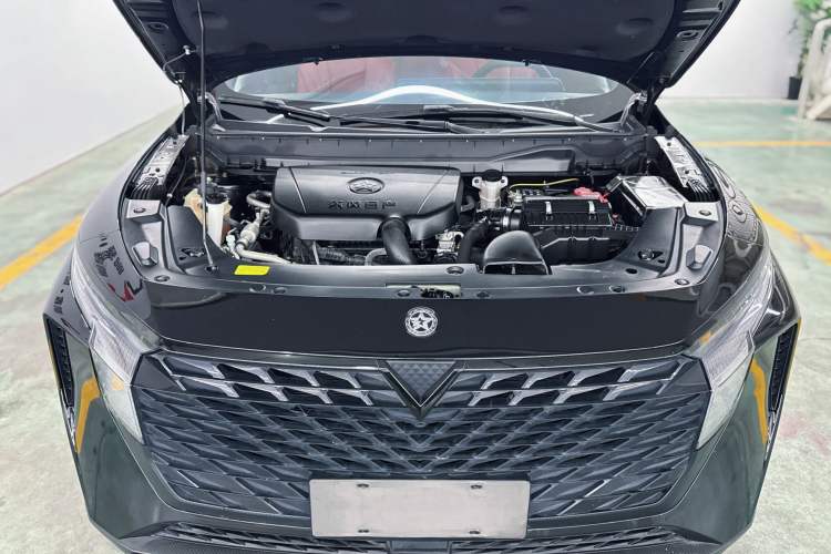 Used Venucia V 2022 260T Black Horse Edition · Idol
