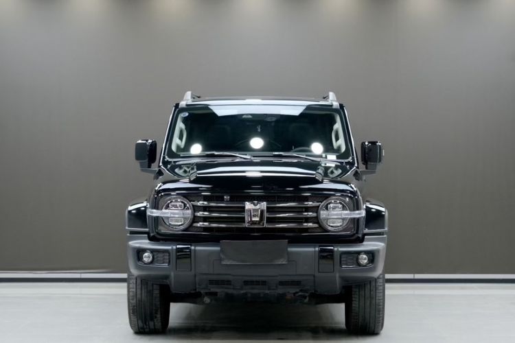 Used Tank 300 2024 2.0T Crosser
