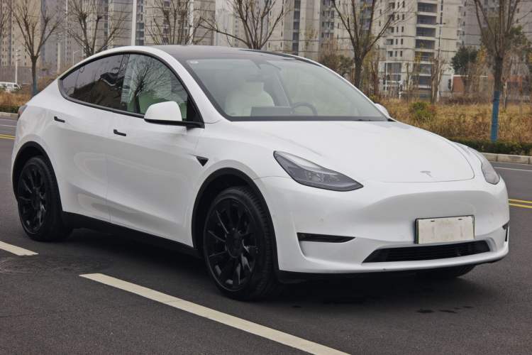 Used Tesla Model Y 2023 Long-Range All-Wheel-Drive Version