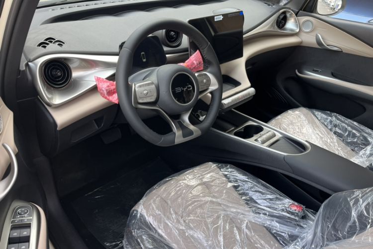 Used BYD Dolphin 2025 420km Free Edition
