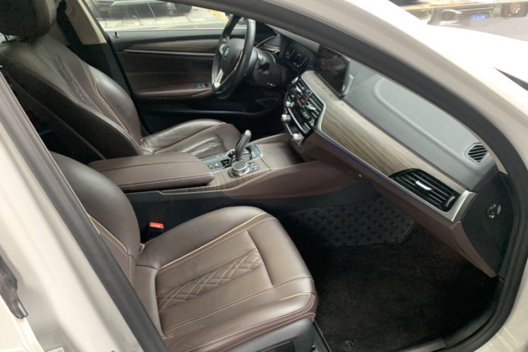 Used BMW 5 Series New Energy 2019 530Le Luxury Package