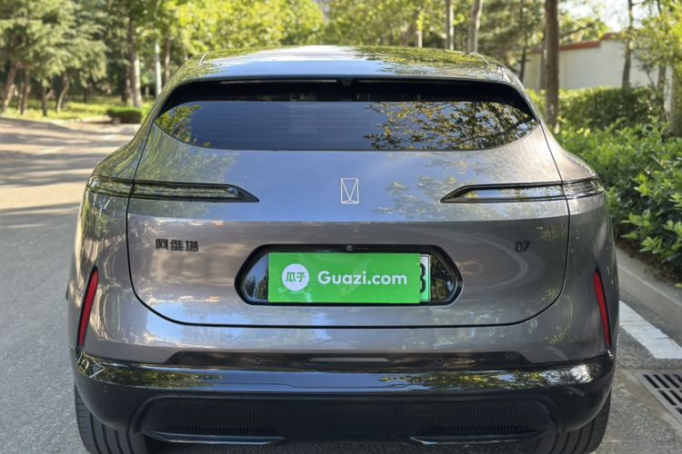 Used  07 2024 Max Extended-Range Edition
