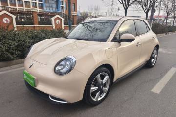 Used ORA Good Cat 2023 401 km Standard Range Prestige Version Lithium Iron Phosphate