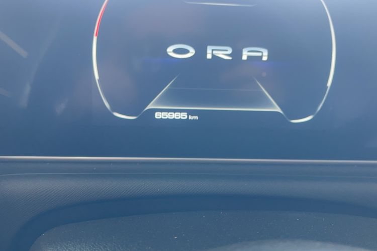 Used ORA White Cat 2020 305 km Luxury Version
