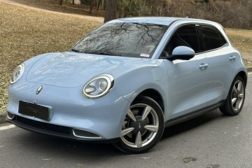 Used ORA Good Cat 2022 400km Standard Range Luxury Version Ternary Lithium