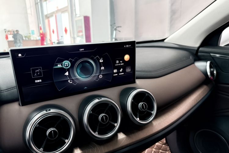 Used Wey VV5 2020 1.5T Two-Wheel Drive Color Pioneer
