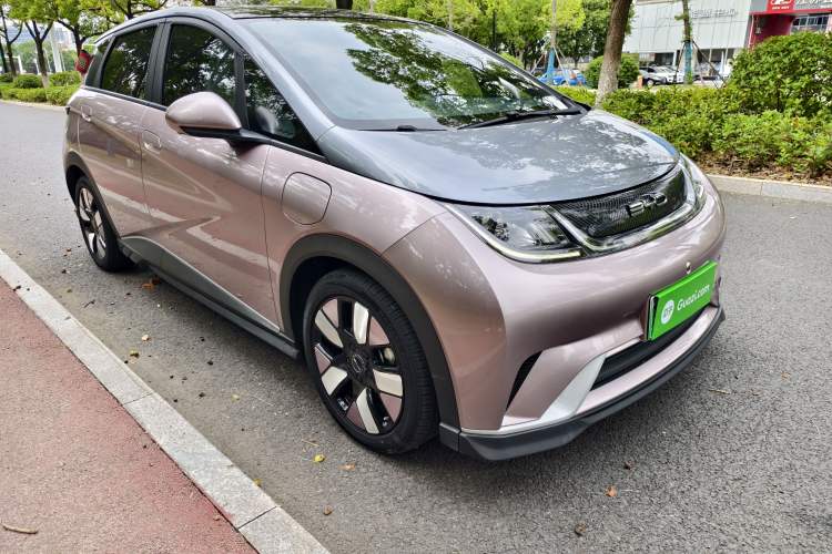 Used BYD Dolphin 2021 401km Knight Edition