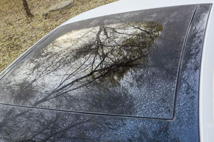 Used Volkswagen Lamando 2019 230TSI DSG Fashion Edition China V Standard