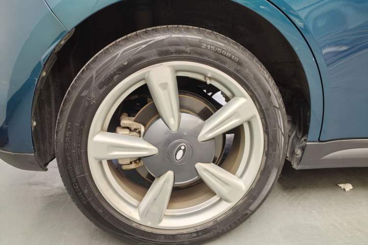 Used ORA Good Cat 2022 Morandi Edition 400km Standard Range Premium Version Lithium Iron Phosphate
