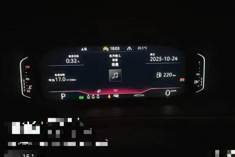 Used Volkswagen T-ROC 2024 300TSI DSG Two-Wheel-Drive Chen Guang Edition
