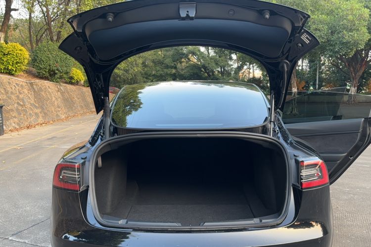 Used Tesla Model 3 2022 Rear-Wheel-Drive Version
