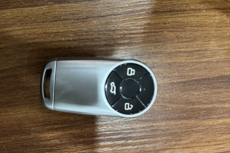 Used ORA Good Cat 2024 401 km Luxury Version
