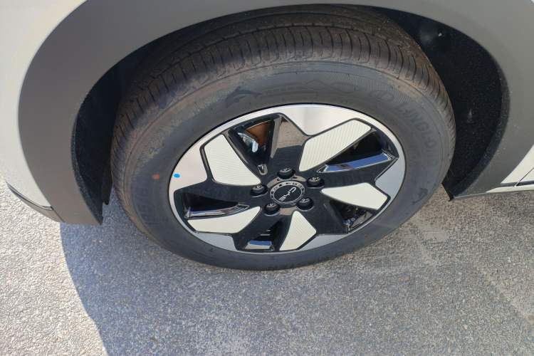 Used BYD Dolphin 2025 420km Free Edition
