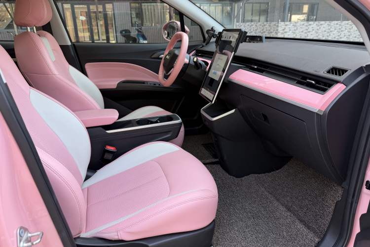 Used NETA V 2021 Witch Edition
