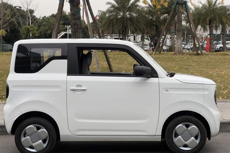 Used  Panda 2024 Panda Mini 200km Endurance Bear